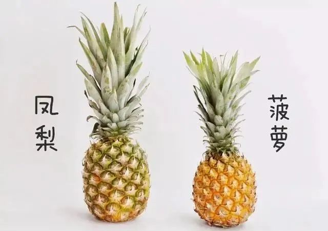 水果界中的5对“双胞胎”，就因起名不同，身价倍增，你都吃过吗