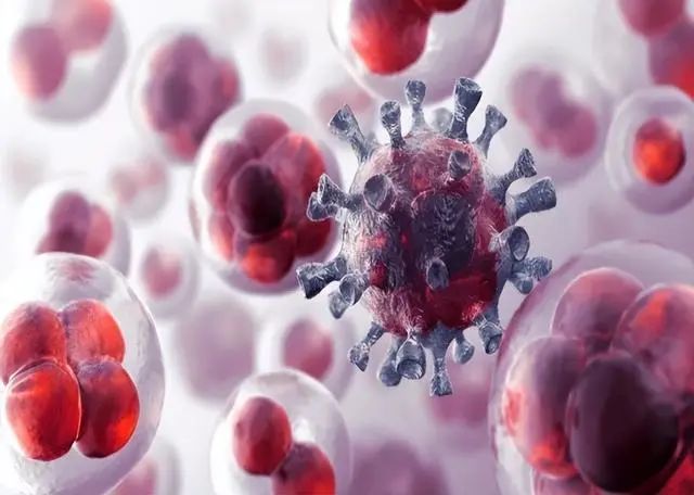 糖是癌细胞的“加速剂”吗？真正加速细胞癌变的是这5种食物