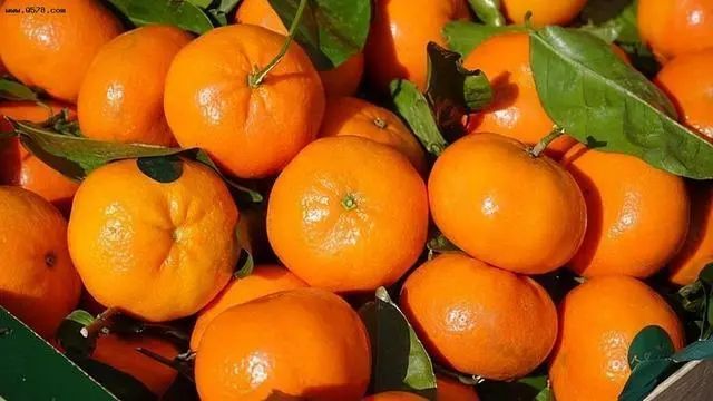 4种“激素”水果要少买，不好吃价格还贵，再馋嘴也要忍住