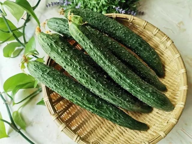 不能和黄瓜一起吃的食物有哪些？或许有很多人不清楚