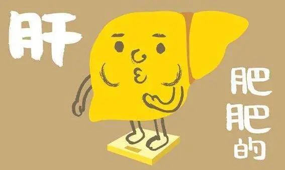 若你有5个习惯，脂肪肝迟早会找上门，还请对照及时进行改正！