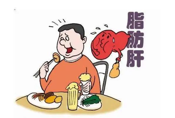 若你有5个习惯，脂肪肝迟早会找上门，还请对照及时进行改正！
