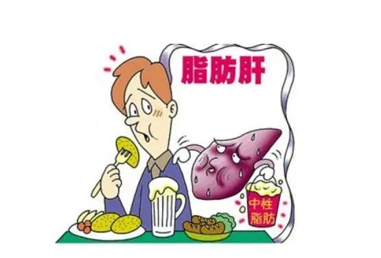 若你有5个习惯，脂肪肝迟早会找上门，还请对照及时进行改正！