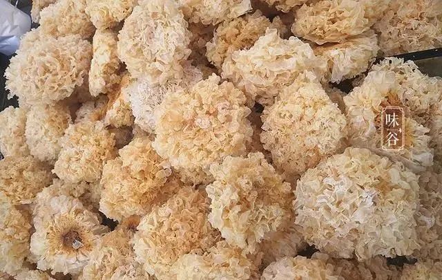 明日谷雨，多吃“2绿2白”，少食2样，应季而食身体棒，顺利入夏