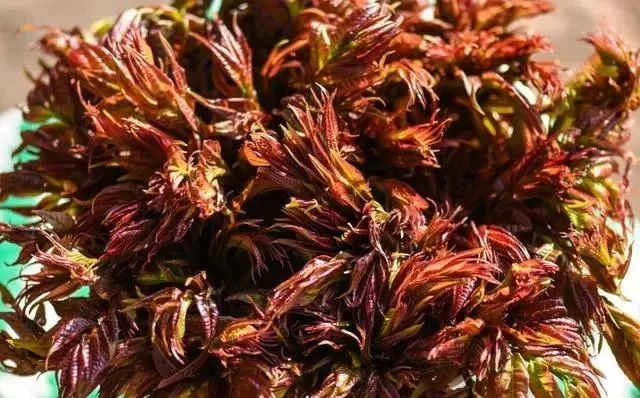 明日谷雨，要常吃3菜3果，维C含量高，顺应节气，健康平安入夏天