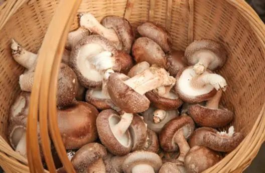 排名第一的“降酸王”被发现，并非芹菜，坚持吃，或会远离痛风