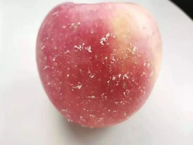 山东一女子坚持每天早上空腹吃苹果，一段时间后，身体怎么样了？