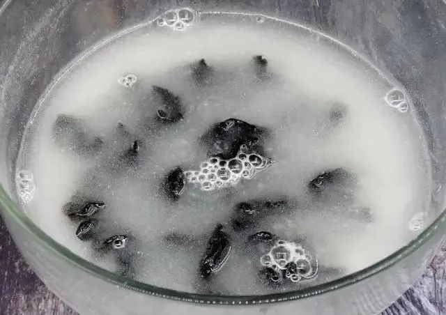 木耳久泡易产生“毒素”，教你正确泡法，1分钟发满盆，又大又软