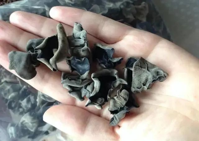 木耳久泡易产生“毒素”，教你正确泡法，1分钟发满盆，又大又软