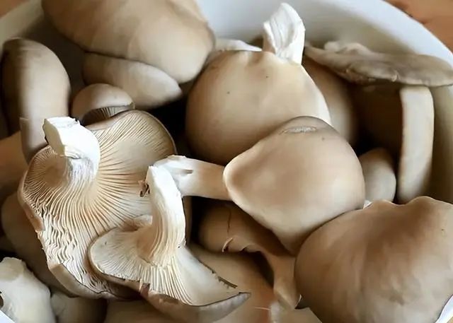 米饭二次加热对身体“有害”？这6种食品，尽量别二次加热
