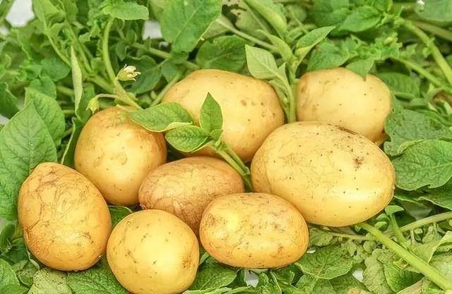 米饭二次加热对身体“有害”？这6种食品，尽量别二次加热