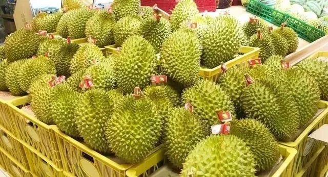 买榴莲，挑大的还是小的好？老果农：牢记5句顺口溜，一挑一个准