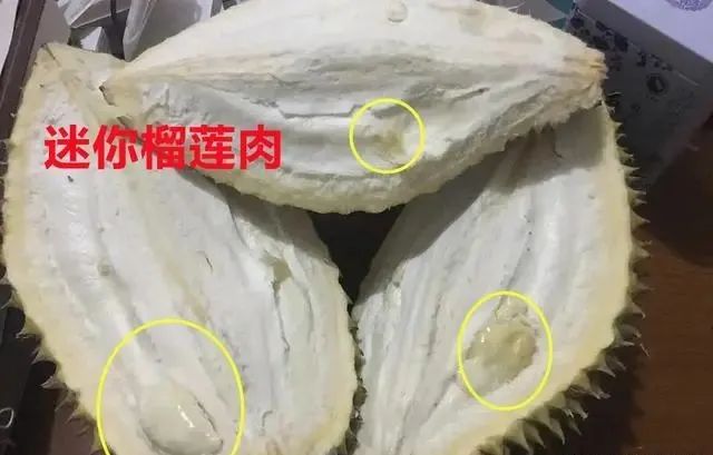 买榴莲，挑大的还是小的好？老果农：牢记5句顺口溜，一挑一个准