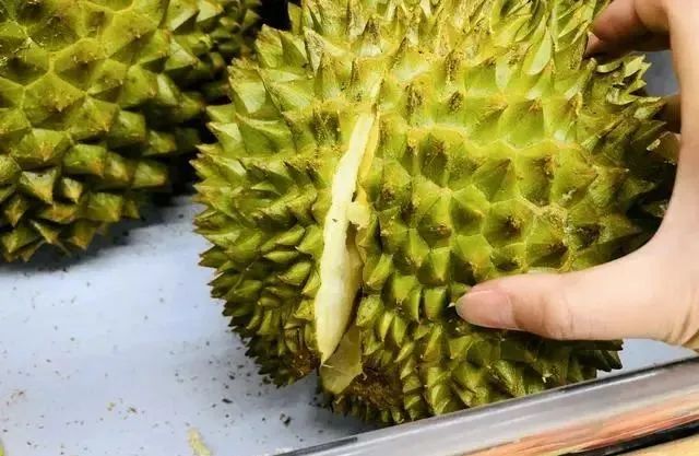 买榴莲，挑大的还是小的好？老果农：牢记5句顺口溜，一挑一个准