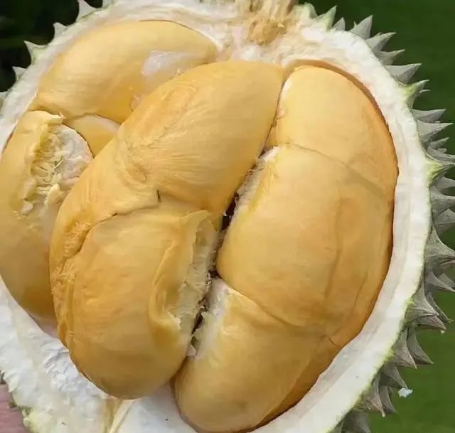买榴莲，挑大的还是小的好？老果农：牢记5句顺口溜，一挑一个准