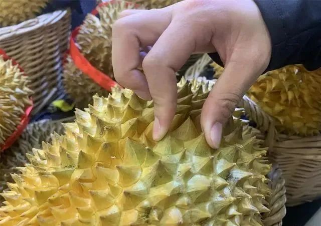 买榴莲，挑大的还是小的好？老果农：牢记5句顺口溜，一挑一个准