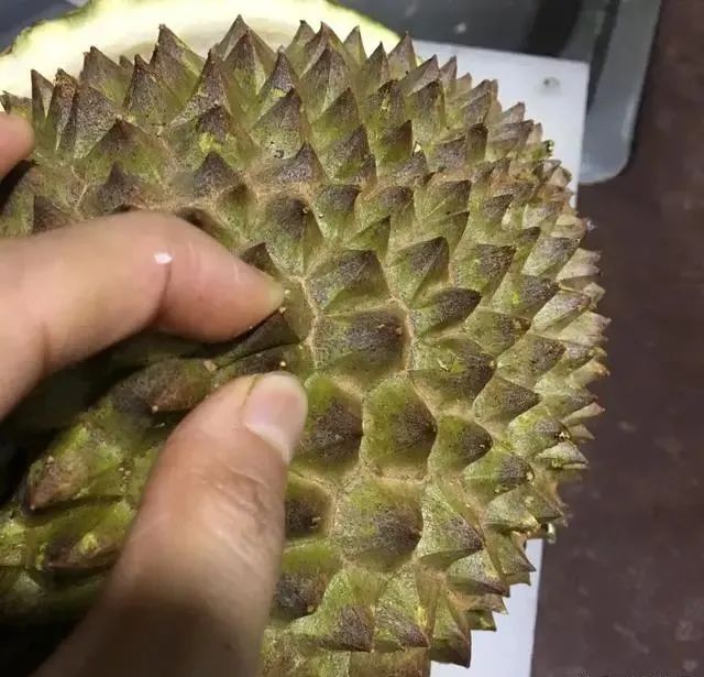 买榴莲，挑大的还是小的好？老果农：牢记5句顺口溜，一挑一个准