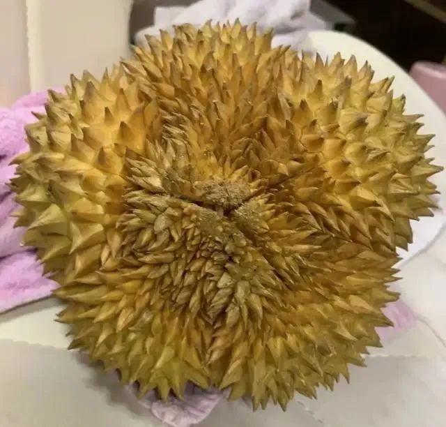 买榴莲，挑大的还是小的好？老果农：牢记5句顺口溜，一挑一个准