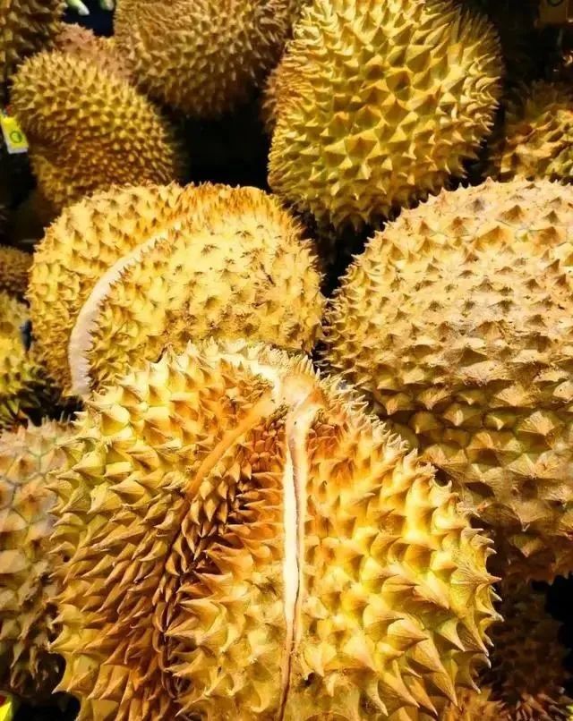 买榴莲，挑大的还是小的好？老果农：牢记5句顺口溜，一挑一个准
