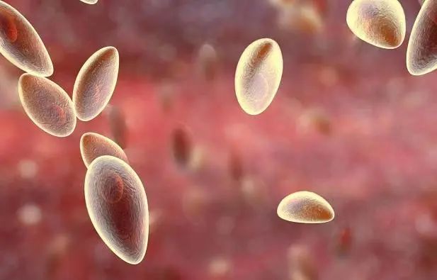 这4种食物容易有“寄生虫”，开水可能烫不死，吃之前要小心
