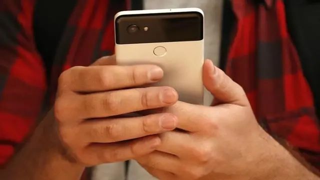 “天然”青霉素终于被发现，没事嚼一嚼，让癌细胞从此离你而去
