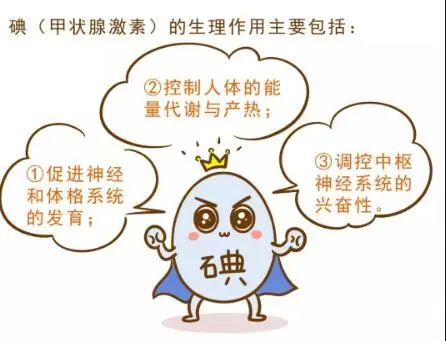 甲状腺的“根源”不只是碘，院士：“2白1黄”不忌口，结节难消