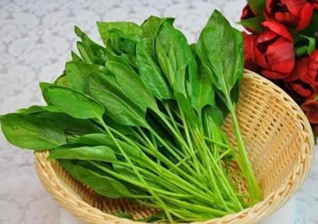 西红柿，是血管“清洁工”吗？医生：养护血管，8物或更胜一筹