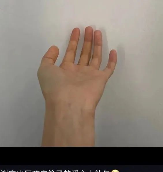 上海网友晒“蔬菜包”，一个比一个丰富，看到最后：又心疼又好笑