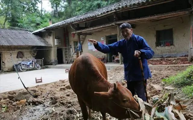 老人说：“三月怕三七，四月怕初一”，明日三月初七，有啥讲究？