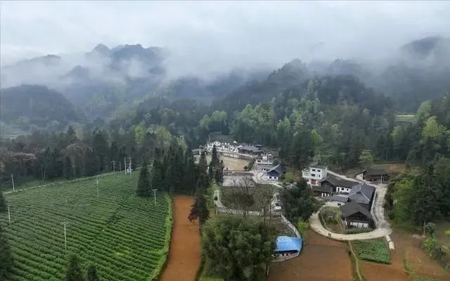 老人说：“三月怕三七，四月怕初一”，明日三月初七，有啥讲究？