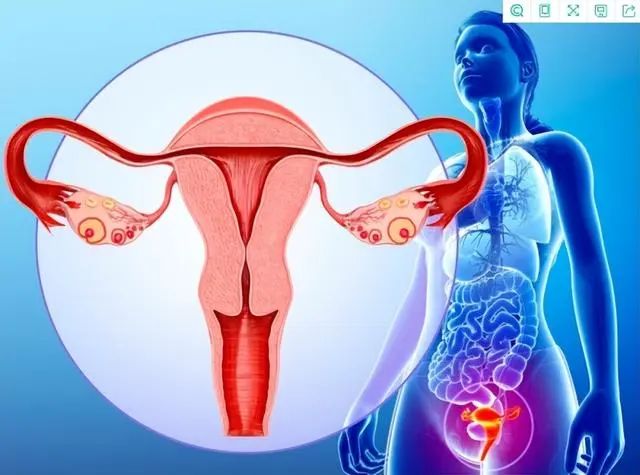 子宫“不欢迎”六种水果，女性尽量少吃，子宫疾病应该如何预防？