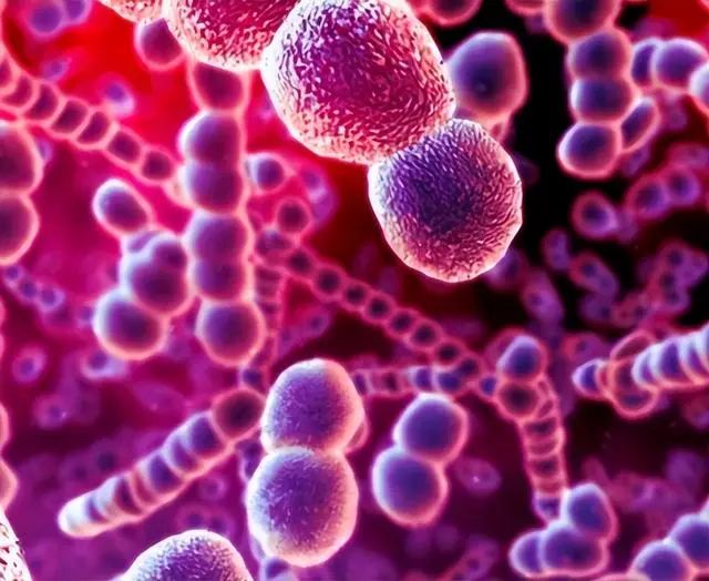 子宫“不欢迎”六种水果，女性尽量少吃，子宫疾病应该如何预防？