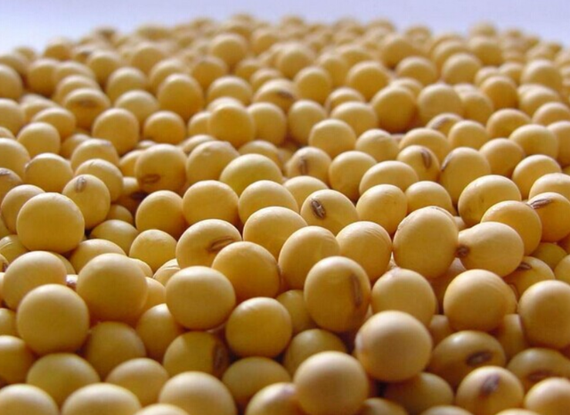 “癌细胞”厌恶的5种“食品”？日常多吃点，或让癌细胞远离你