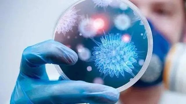 癌症人群逐年增多？提醒：4种“自带毒素”的蔬菜，最好不要吃