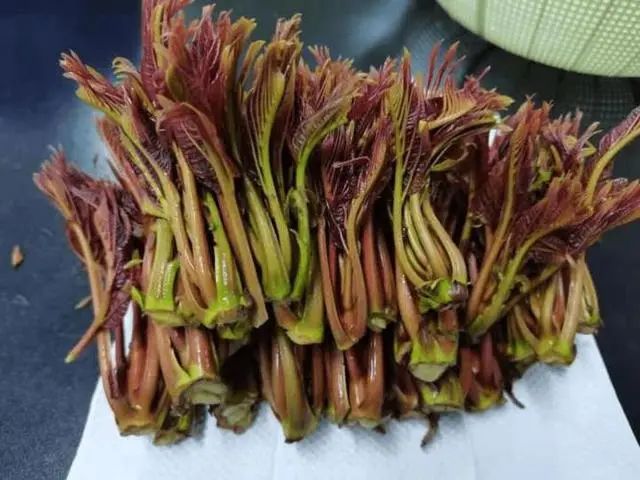 癌症人群逐年增多？提醒：4种“自带毒素”的蔬菜，最好不要吃
