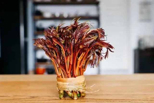 “香椿”含有亚硝酸盐，不仅有毒还致癌，是真的吗？看完长知识了