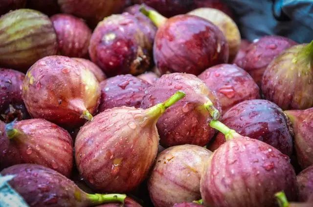 乳腺的“保护伞”被发现，不是蒲公英，医生提醒：平时不妨常吃
