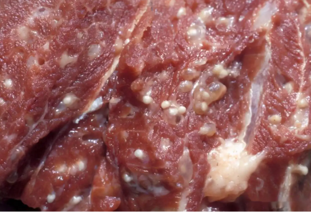 “注胶肉”已泛滥？温馨提示：大都存在4种肉中，转告家人少购买