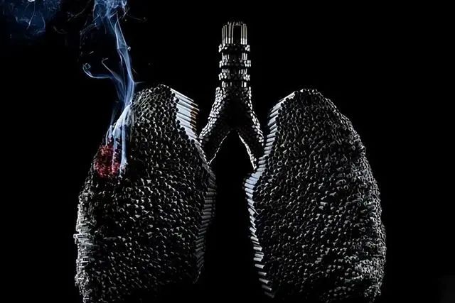 香烟里的尼古丁并不致癌，吸烟有害健康是错的？现在告诉您真相