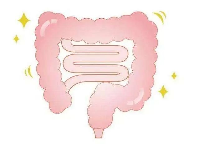 肠道“润滑剂”已公布，香蕉不在其中，若你常吃，为肠道健康加分