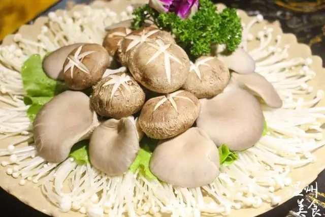 人工合成的“垃圾食品”有哪些，方便面意外落榜，看看榜首是谁