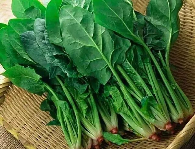 春天，建议多给孩子吃6种菜，“叶黄素”含量高，孩子吃对眼睛好