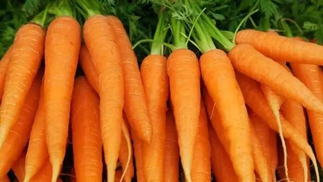 “癌细胞”或害怕8种碱性食物，医生：没事多吃点，降低癌症侵扰