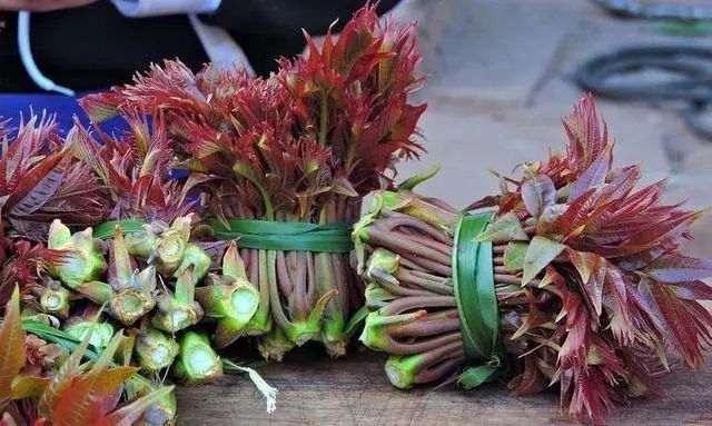 癌症越来越“猖狂”？医生：4种“自带毒素”的蔬菜，尽量不要吃