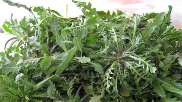 为何癌症越来越多？建议：6种“自带毒素”的野菜，能不吃就不吃
