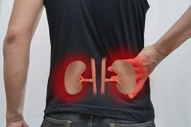 男人吃腰子能养肾？医生：真正补肾的是这3物，或许很多人不爱吃