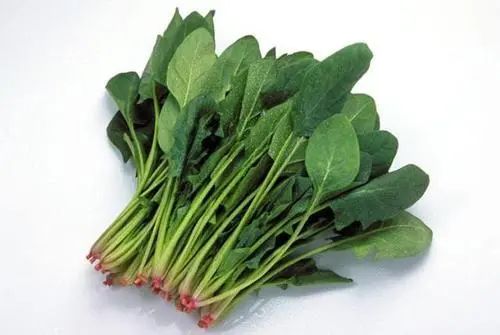 甲状腺结节可以吃白菜吗？医生：不想结节滋长，3种菜莫贪吃
