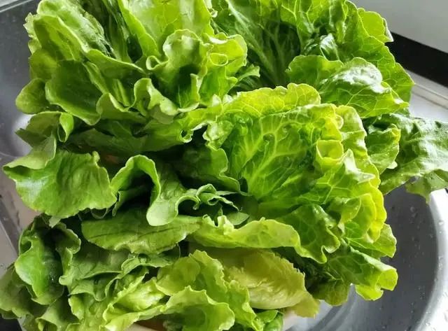 建议中老年人：别太节俭，这5种“高蛋白菜”要多吃，越吃越年轻