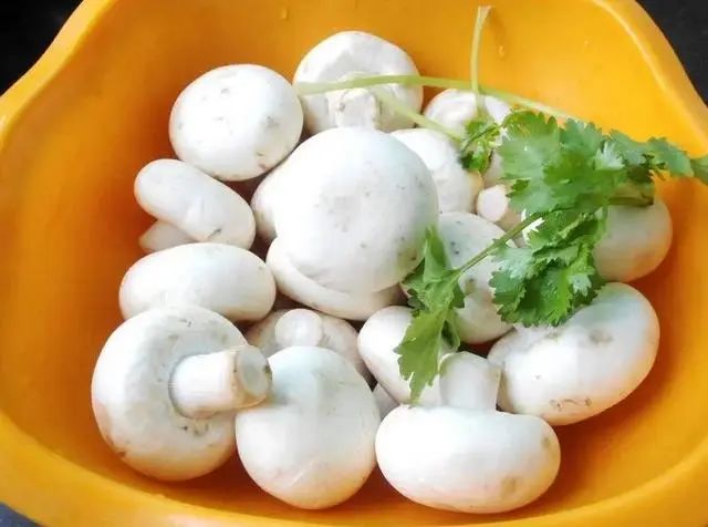 建议中老年人：别太节俭，这5种“高蛋白菜”要多吃，越吃越年轻