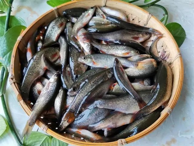 请停止食用这6种鱼，可能含有甲醛和重金属，建议转给家人看看